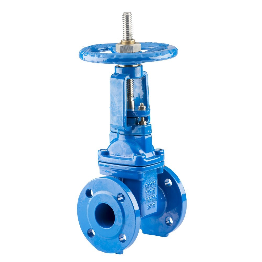 RISING STEM WEDGE SINGLE GATE VALVE