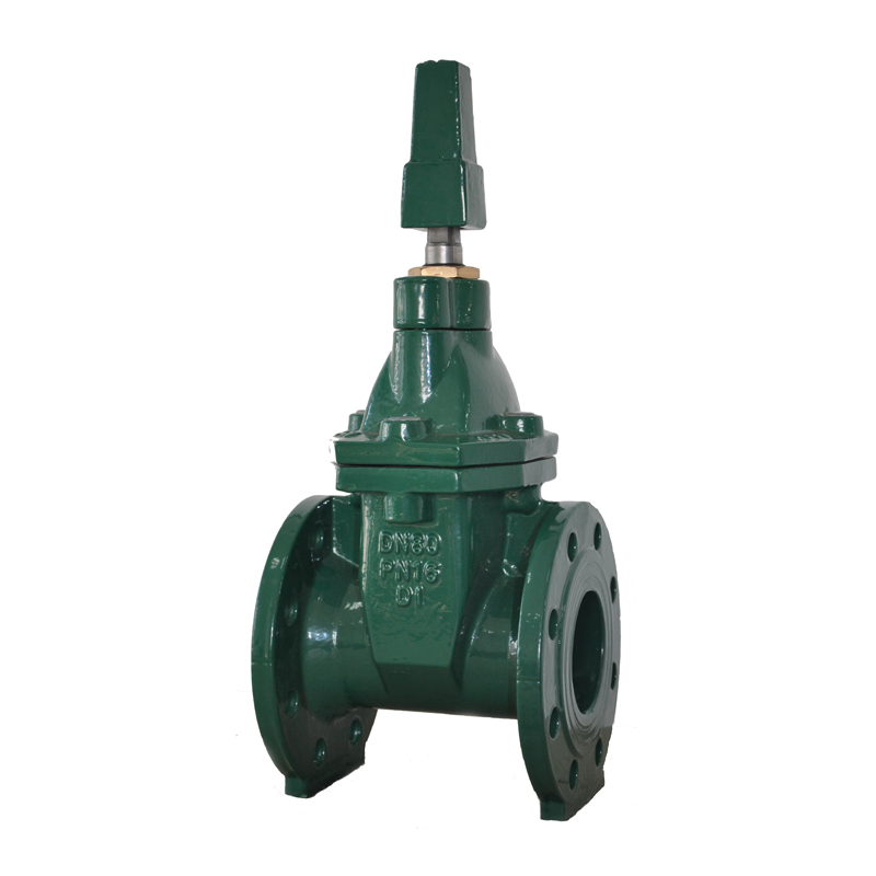 BS NRS Resilient Seated Gate Valve