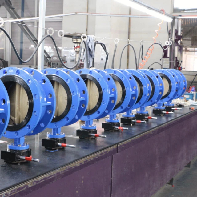 Double Flange Type Butterfly Valve