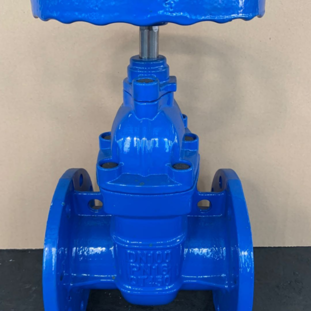 BS NRS Resilient Seated Gate Valve