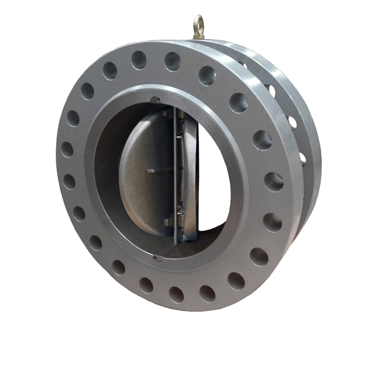DIN Double Disc WCB Flange Type Check Valve